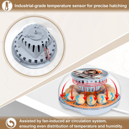 WYD2ANG 12 Smart Chicken Incubators for Hatching Eggs with Automatic Turner Small Poultry Duck Quail Egg Incubator
