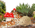 CooBigo 6 Pack Resin Hedgehogs & Wood Mushroom Sculpture, Fairy Wild Garden