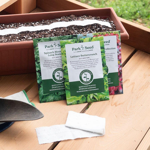 15 60 Park Seed Sow Effortless Collection Seed Tape Little Finger Carrot, Feet Easy DIY Planting, Sweet Baby Carrots