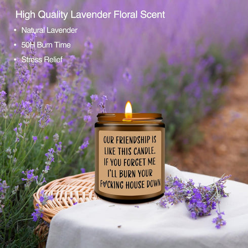 Homsolver Funny Scented Soy Candle Gifts - Premium Lavender Scent, Best Friend Birthday Christmas Gifts for Women