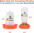 1L 1.5L Set, Lil'Clucker Chick Feeder, Chicken Waterer - No Leakage Chick Feeder and Waterer Kit, Hanging Baby Chick