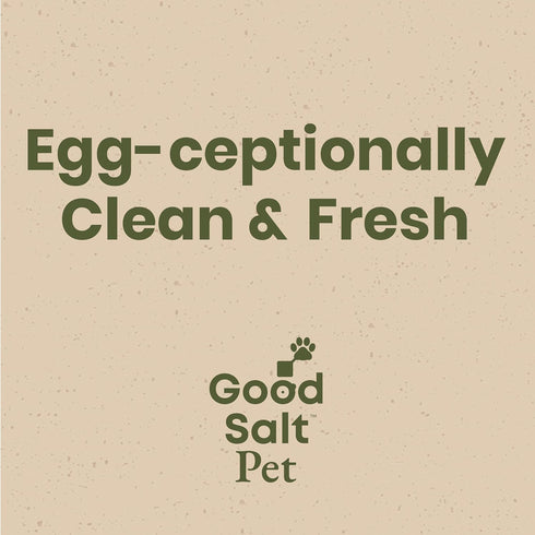 32 2-Pack Clean Republic Good Salt Pet Fresh Nest Egg Wash Spray, Natural Cleaner for Freshly Laid Eggs, Made in the