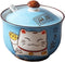 Ceramics Japanese Maneki Neko Lucky Cat, Sugar Salt Pepper Storage Jar with Lid
