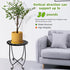 Kaesithar 15 Inch Tall Metal Plant Stand Indoor Outdoor, Round Side Table with Swirl Pattern, Rust Resistant Iron