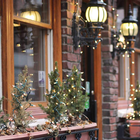 200 Count 50 Bulb Minetom Clear Christmas Lights Feet Mini Lights, Waterproof String Light for Indoor Xmas Tree Garland