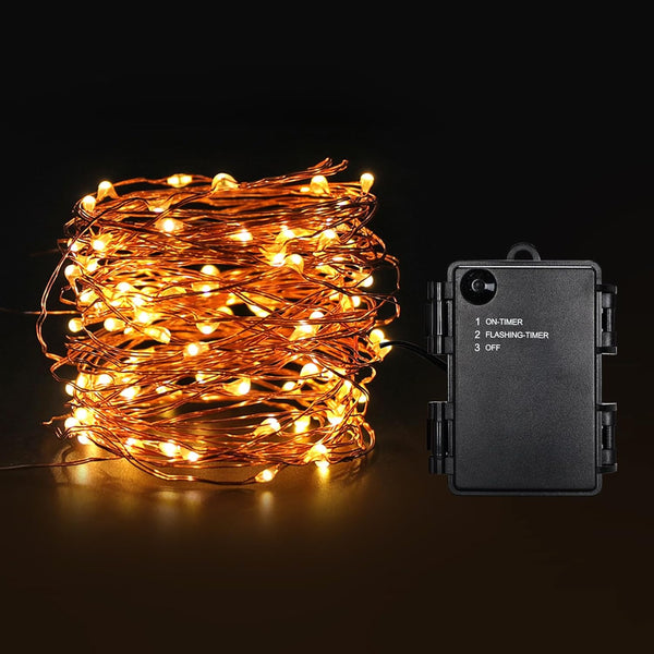 Kangheshun Timer Blinking Tiny Led Fairy Lights,1 Pack Mini Battery Powered Copper Wire