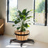 385lbs, 12 Inch, Idzo Upgraded Lockable Heavy Duty Trolley Capacity Black, Large Plant Pots, Parasol Stands and Bases