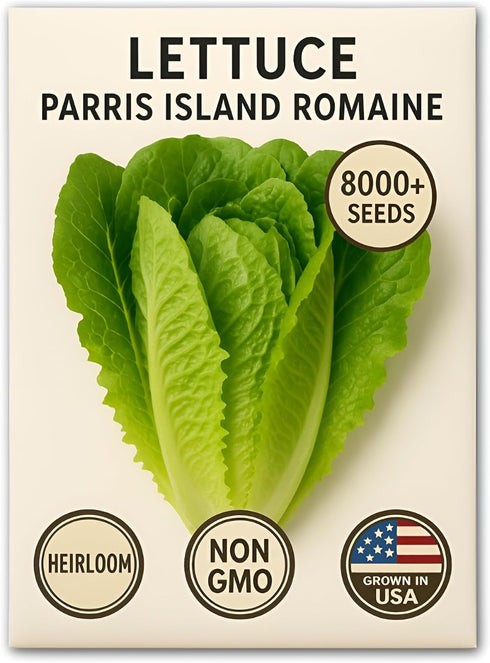 Bloomtiva 8000+ Pack, Romaine Lettuce Seeds Parris Island Cos, Heirloom Non-GMO Seeds, High Germination Bulk Grown