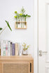 5 Mkono Wall Hanging Plant Propagation Station Tubes with Wooden Stand Desktop Plant Terrarium for Hydroponic Plants