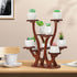 9 Jotsport Pots Mini Succulent Stand Windowsill Small Plant Stand Multi Layers Succulents Display Shelf Kitchen