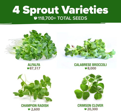 118,200 16oz Pack HOME GROWN Premium Sprouting Seeds Mix - Microgreens Seeds for Indoor Growing - Non-GMO Broccoli