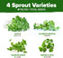 118,200 16oz Pack HOME GROWN Premium Sprouting Seeds Mix - Microgreens Seeds for Indoor Growing - Non-GMO Broccoli