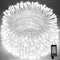 LAMPHOME 66ft Christmas Decorative Mini Lights,200 LED Transparent Wire Fairy Starry String