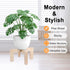 5-12 Inch Vigordream Plant Stand, Indoor/Outdoor Wood Plant Holder, Single Flower Pot Stand, Sturdy Planter Stands, Fit