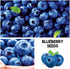 Mulberry. 100 Packaged Fruit Garden Seeds Kit for Growing - Elderberry, Blueberry, Red Strawberry, White Strawberry
