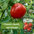 Packet (1) Sow Right Seeds - Rutgers Tomato Seeds for Planting - Non-GMO Heirloom with Instructions to Plant and Grow