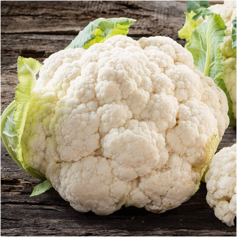 93% Gaea's Blessing Seeds - Cauliflower Seeds - Snowball Y Improved - Non-GMO Seeds with Easy to Follow Planting