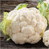 93% Gaea's Blessing Seeds - Cauliflower Seeds - Snowball Y Improved - Non-GMO Seeds with Easy to Follow Planting