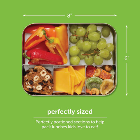 LunchBots Medium Uno Stainless Steel Sandwich Container for Wraps, Salads, Eco-Friendly, Aqua Dots