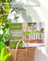 7 KAXYEW Plant Terrarium with Wooden Stand, Plant Propagation Tubes, Test Tubes Glass Planter for Hydroponic Plant