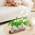 ohohFLOWER Plant Propagation Stations, Plant Lover Gift, Star Shaped Glass Vase with Wooden Stand for Propagating