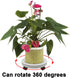 2-Pack 13" Heavy Duty Plant Caddy with Lockable Wheels, Industrial-Grade Rolling Plant Stand for Indoor/Outdoor Potted