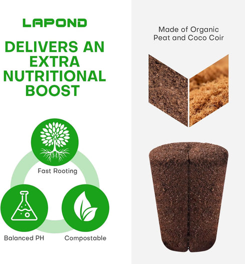 LAPOND 40 Pcs Grow Sponges with Tray, Starter Plugs for Cuttings, Great for Soil, Tray or Planting Pods Plant Rooter