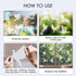 32 Pieces Window Strike Prevention Stickers Decals Anti Collision Window Clings Hummingbird Butterfly Leaf Shapes Stickers Window Stickers Prevent Bird Strikes on Glass (Hummingbird Style)
