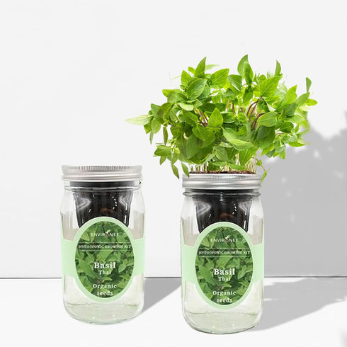 Hydroponic Herb Growing Kit, Self-Watering Mason Jar Herb Garden Starter Kit Indoor, Windowsill Herbs Garden, Grow Your