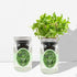 Hydroponic Herb Growing Kit, Self-Watering Mason Jar Herb Garden Starter Kit Indoor, Windowsill Herbs Garden, Grow Your