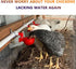 Set 1/2" Automatic Chicken Watering System with PVC Pipe (Real Complete Pipeline) - PVC Tee Fittings & Pipe & Garden