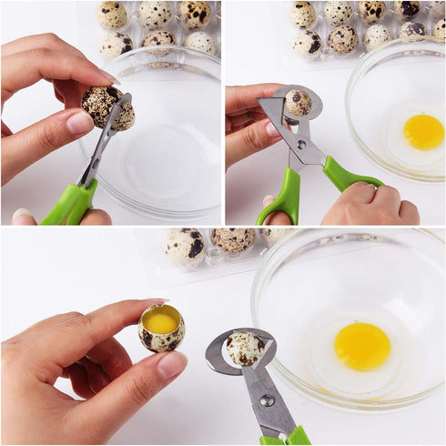 Calary 3Pcs Quail Egg Cutter Scissors Kitchen Egg Shears Tool, Green