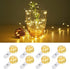 Lighting EVER Fairy Lights Battery Operated 20 LED Mini String Lights, Small
