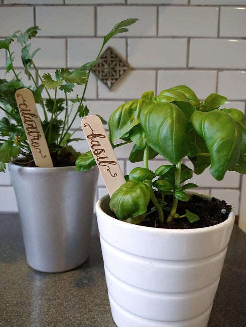 Gardinnovations 10-Pack Plantid Assorted Kitchen Herbs! Farmhouse Decor Outdoor Indoor Herb Garden Stakes, Plant