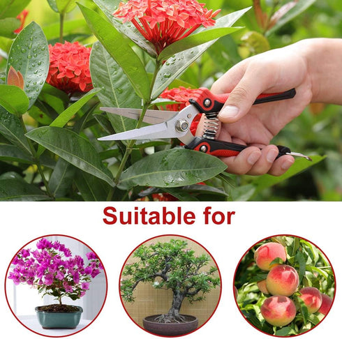 WYF Pruning Scissors, Professional Garden Shears, Sharp Stainless Steel Blades, Hand Pruner for Harvesting, 8.1IN (Red)