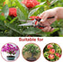 WYF Pruning Scissors, Professional Garden Shears, Sharp Stainless Steel Blades, Hand Pruner for Harvesting, 8.1IN (Red)