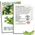 25+ King of The Garden Lima Bean Seeds (Pole Lima, Phaseolus lunatus) Non GMO Heirloom Seeds by Islas Garden Seeds