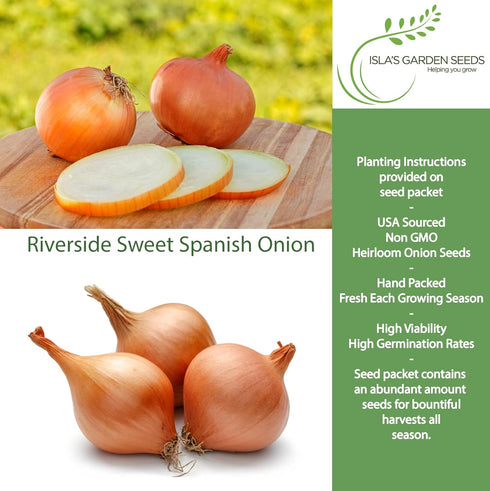 300+ Bulbs Riverside Sweet Spanish Onion Seeds (Allium cepa) Heirloom Non-GMO Seeds by Islas Garden Seeds, Large Mild