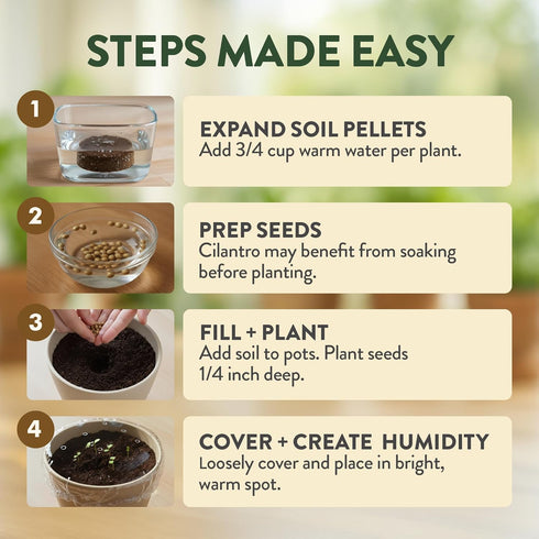 4 HOME GROWN Herb Garden Planter Indoor Kit Unique Christmas Gift for Adults, Men, & Women - Grow Heirloom Herb Seeds