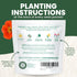 5,000 2026 1 Gourmet Edible Mix Premium Seeds for Planting Fresh Culinary Flowers & Herbs Season Ounce Pouch