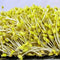 Organic Soybean Seeds 1 Lb, Non-GMO Perfect for Sprouting, Tofu, Food Storage,