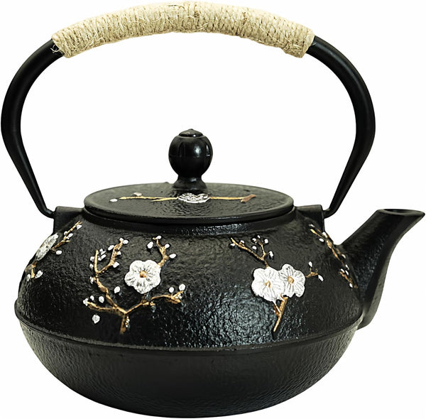 YJX 27oz Small Cast Iron Teapot for Stovetop, Japanese Tetsubin with Enamel,
