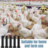 150 3/4 Inch Frienda Pcs Chicken Plucker Fingers for Machine Black Rubber Plucker Fingers Hair Removal Suit Holes