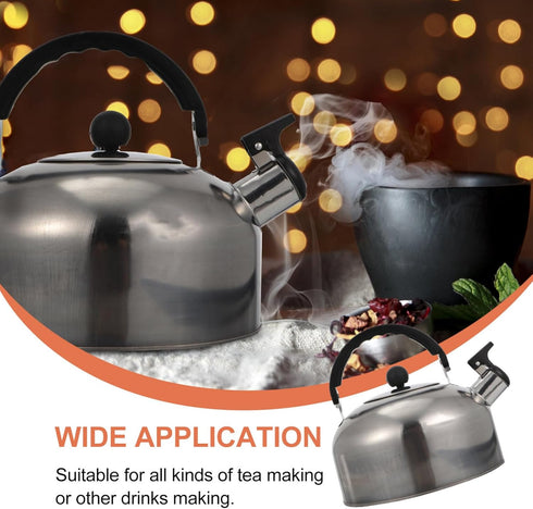 ABOOFAN Whistling Tea Kettle - Stainless Steel 2L Teapot for Stovetop Hot Water, Fast Boil Silver Kettle