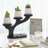 3 Bamboo Tabletop Plant Stand Indoor, Tier Wood Desktop Small Plant Shelf Window Sill Flower Holder Mini Tiered Plant
