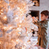 LED Mini Lights with Timer, 18ft 50 LED Battery Operated String Lights, Warm White for Indoor Outdoor Decor