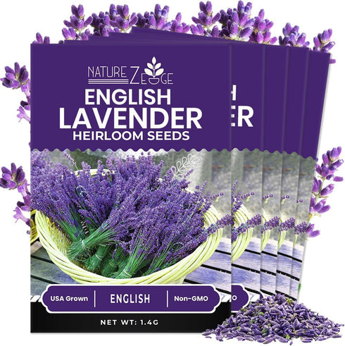 NatureZ Edge 7500 English Lavender Seeds for Planting Outdoors or Indoors, 90%