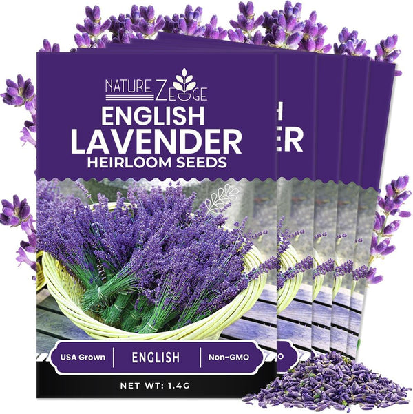 NatureZ Edge 7500 English Lavender Seeds for Planting Outdoors or Indoors, 90%