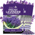 NatureZ Edge 7500 English Lavender Seeds for Planting Outdoors or Indoors, 90%