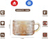 Gezzeny 14 Oz Set 2 Vintage Coffee Mugs of Amber Embossed Glass Tea Cups for Cappccino, Latte,Cereal, Yogurt, Beverage